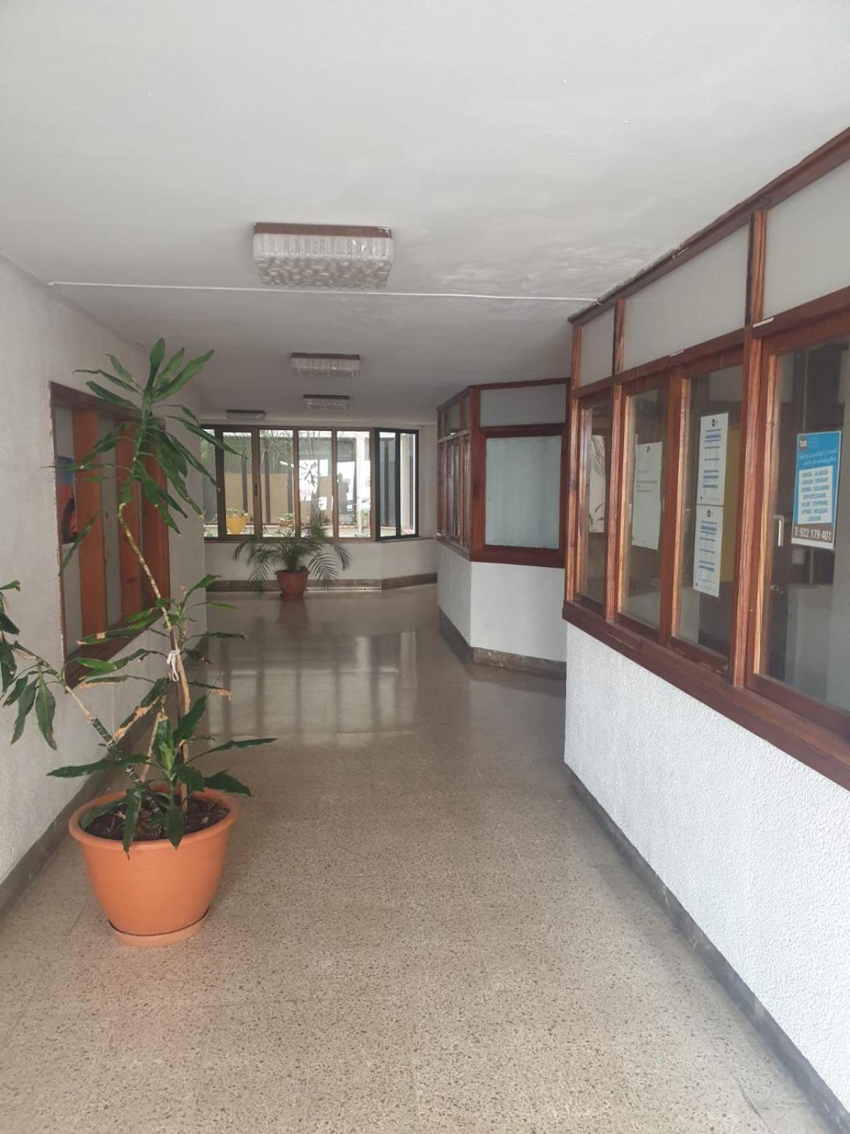 Gold Oasis Apartment El Médano المظهر الخارجي الصورة